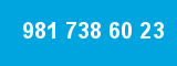 981 738 60 23 981 738 60 23